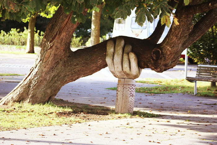 wellbeing support symbolised by a hand supporting a tree
